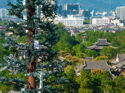 浙江電信全面建設5G-A網絡，為AI時代注入新動能