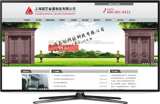 專業網絡技術服務 松江網站建設、制作與設計解決方案